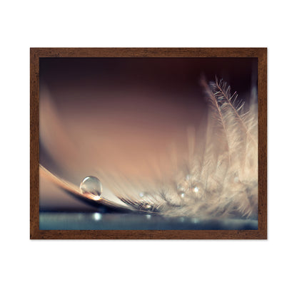 Stories Of Drops
