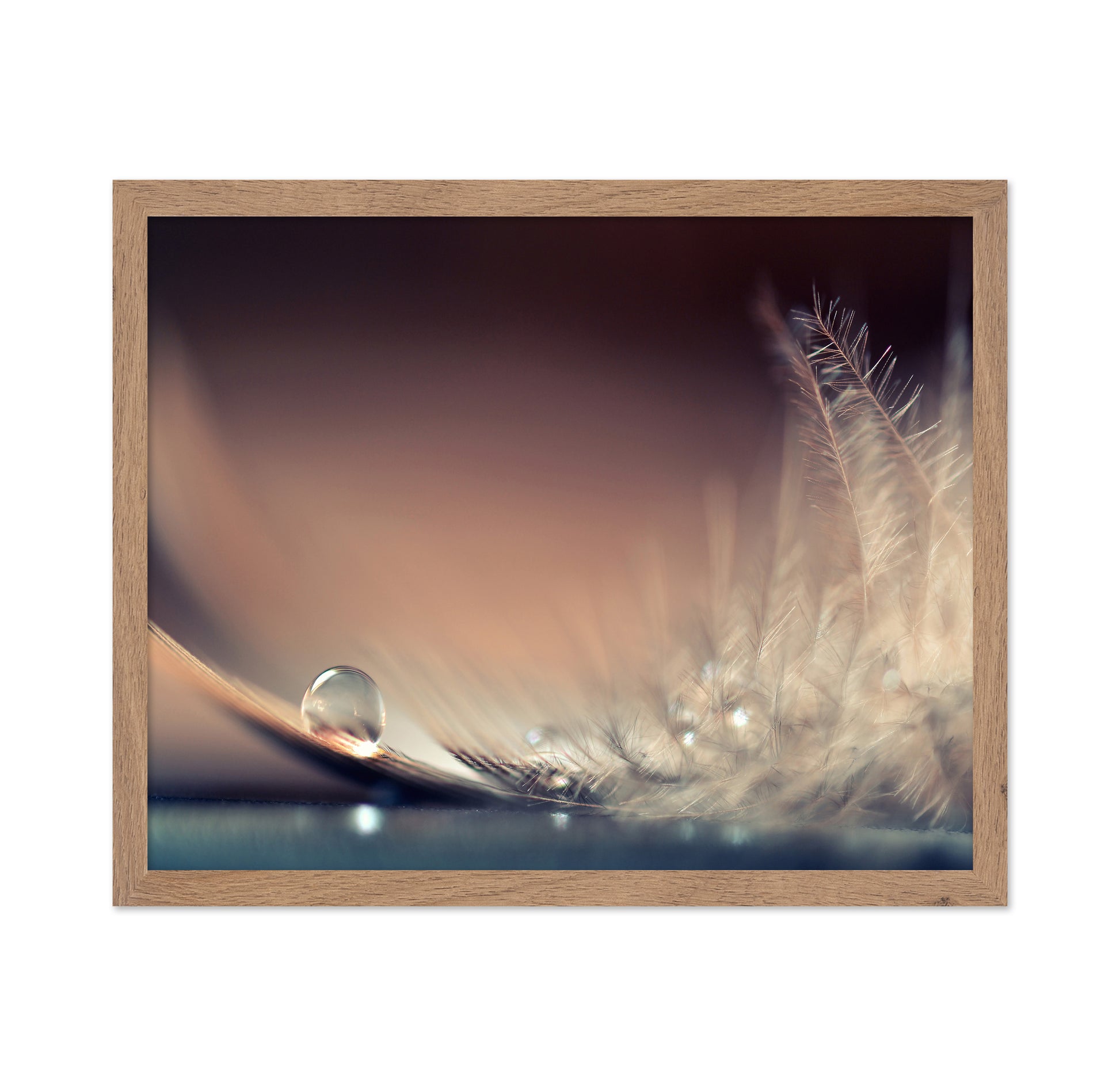 Stories Of Drops