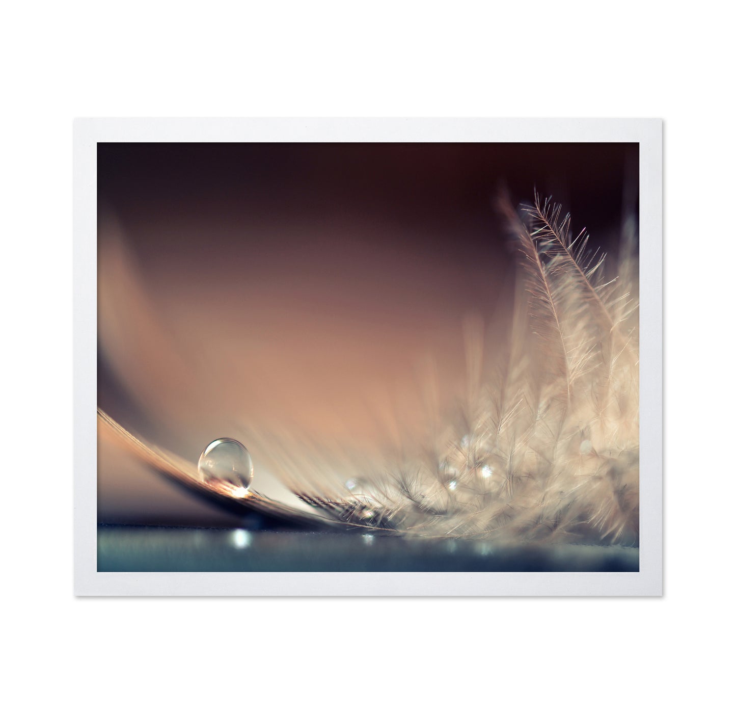 Stories Of Drops