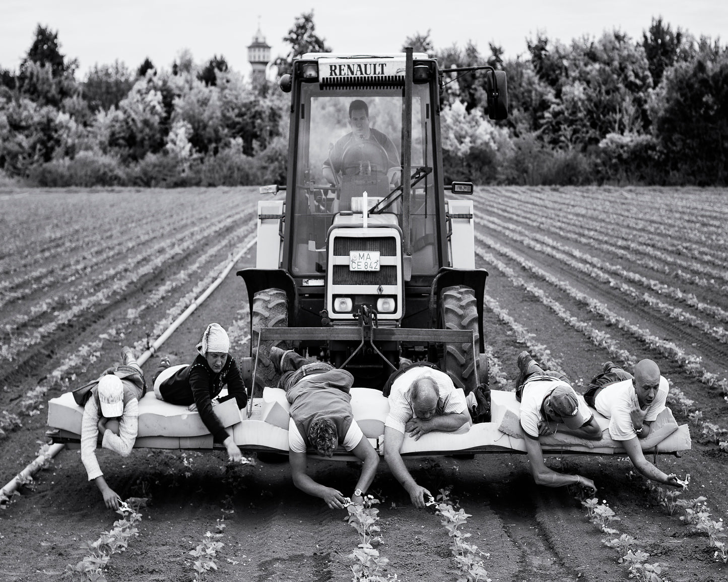 Fields of Labor