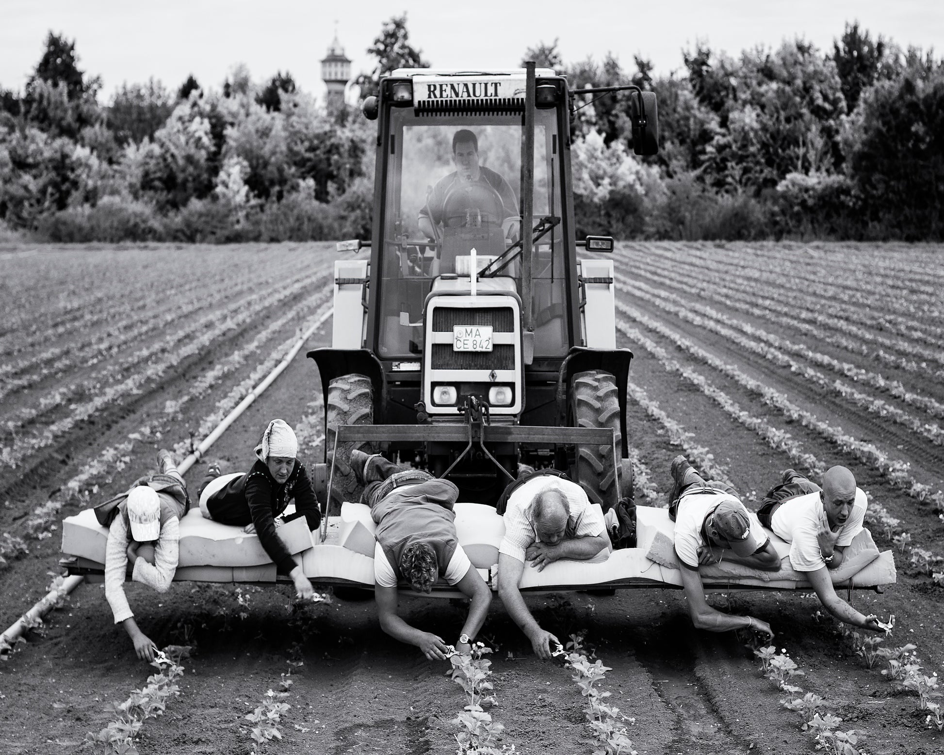 Fields of Labor
