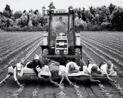 Fields of Labor