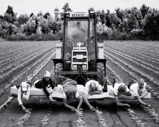 Fields of Labor