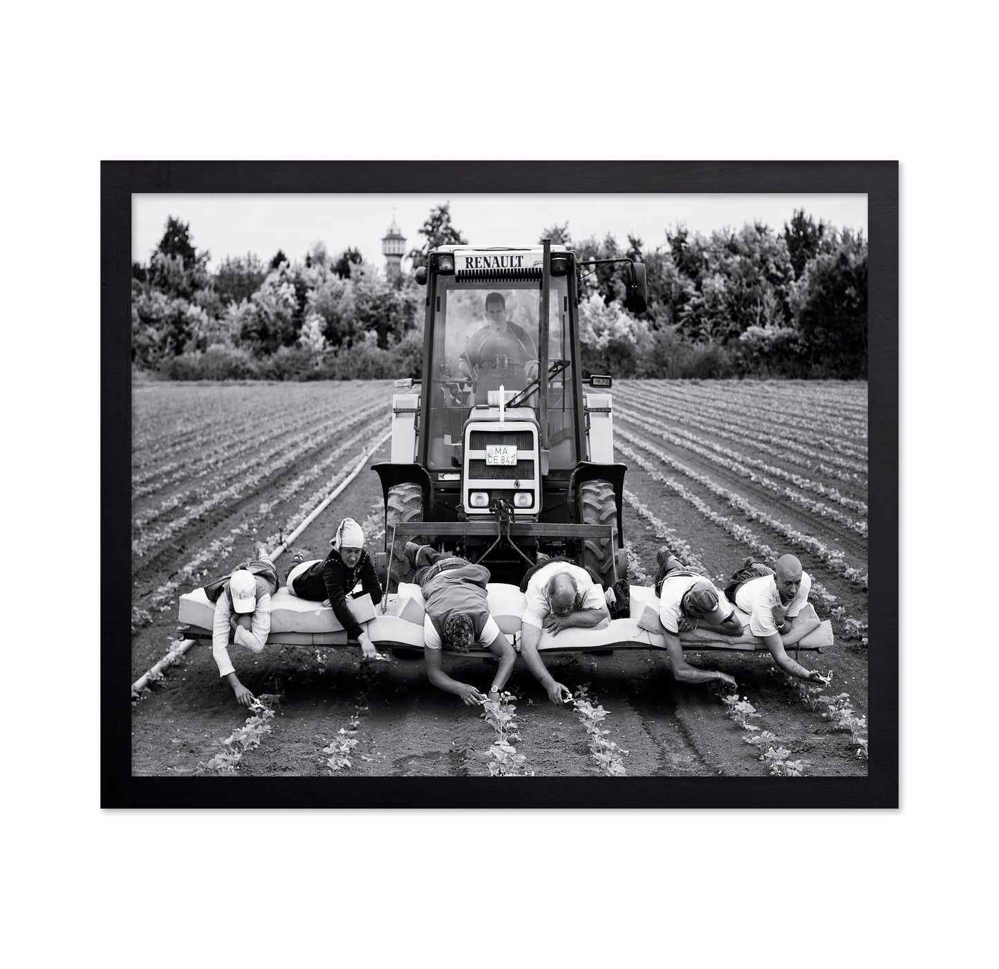 Fields of Labor