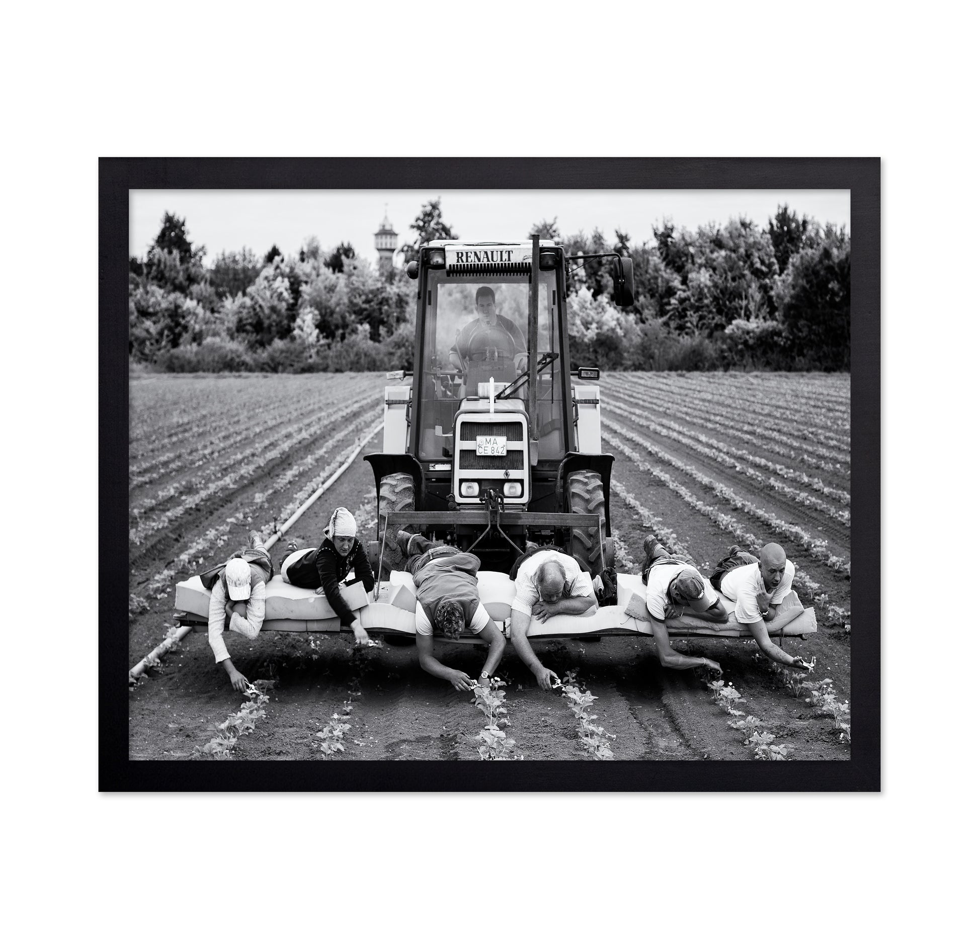 Fields of Labor
