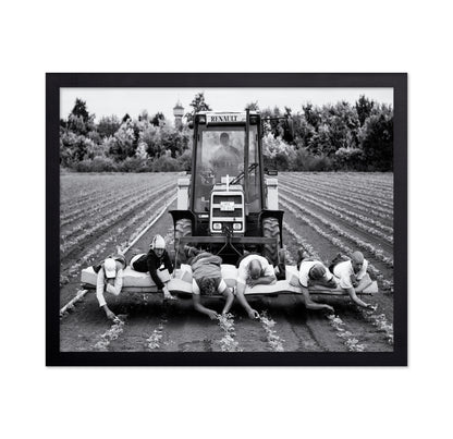 Fields of Labor