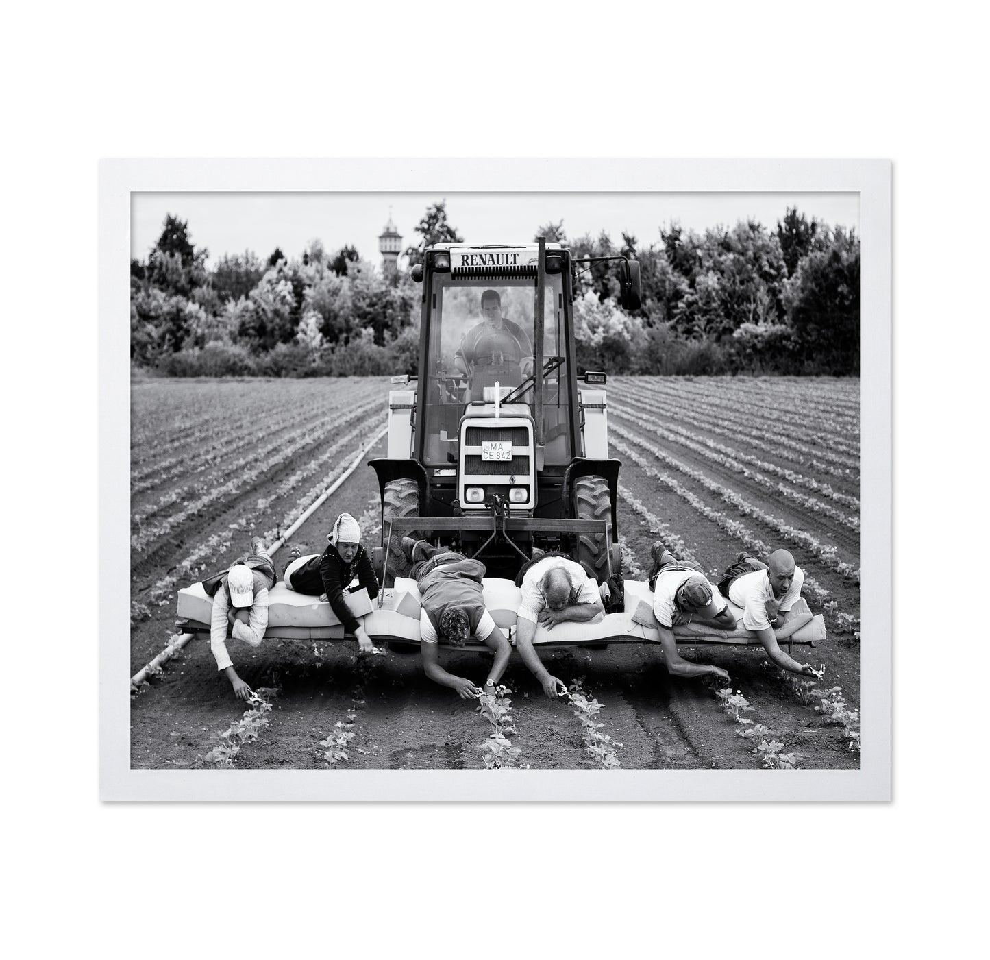Fields of Labor