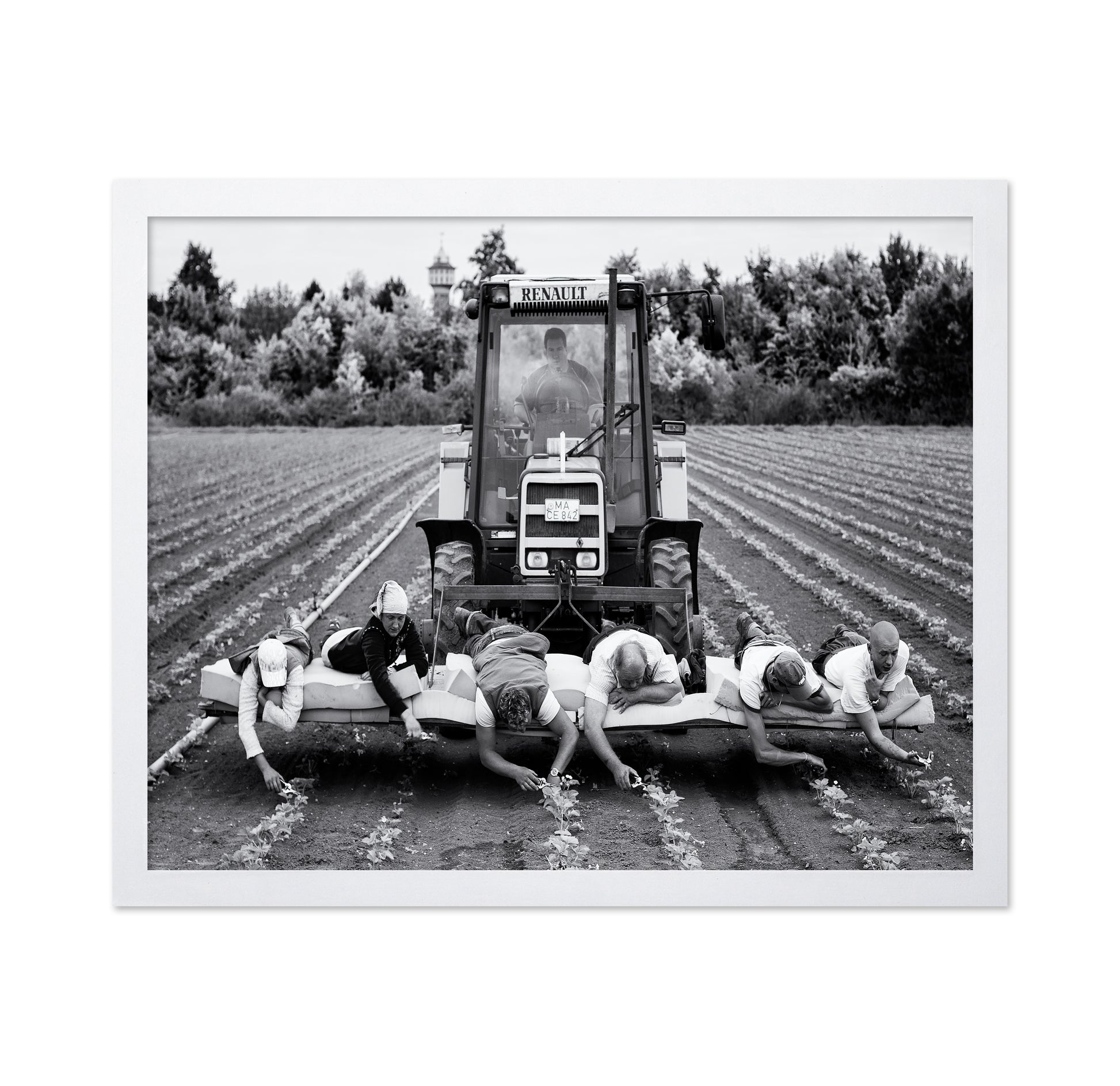 Fields of Labor