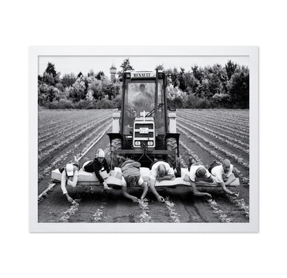 Fields of Labor
