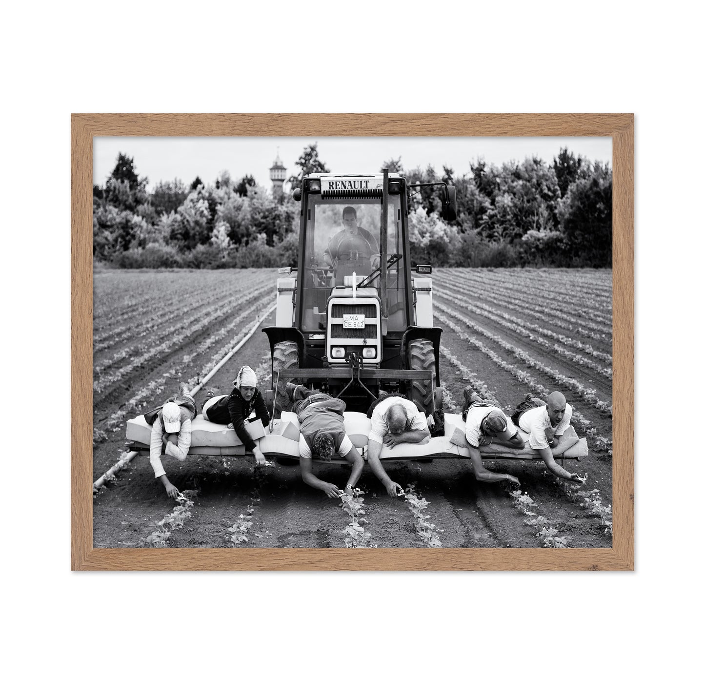 Fields of Labor