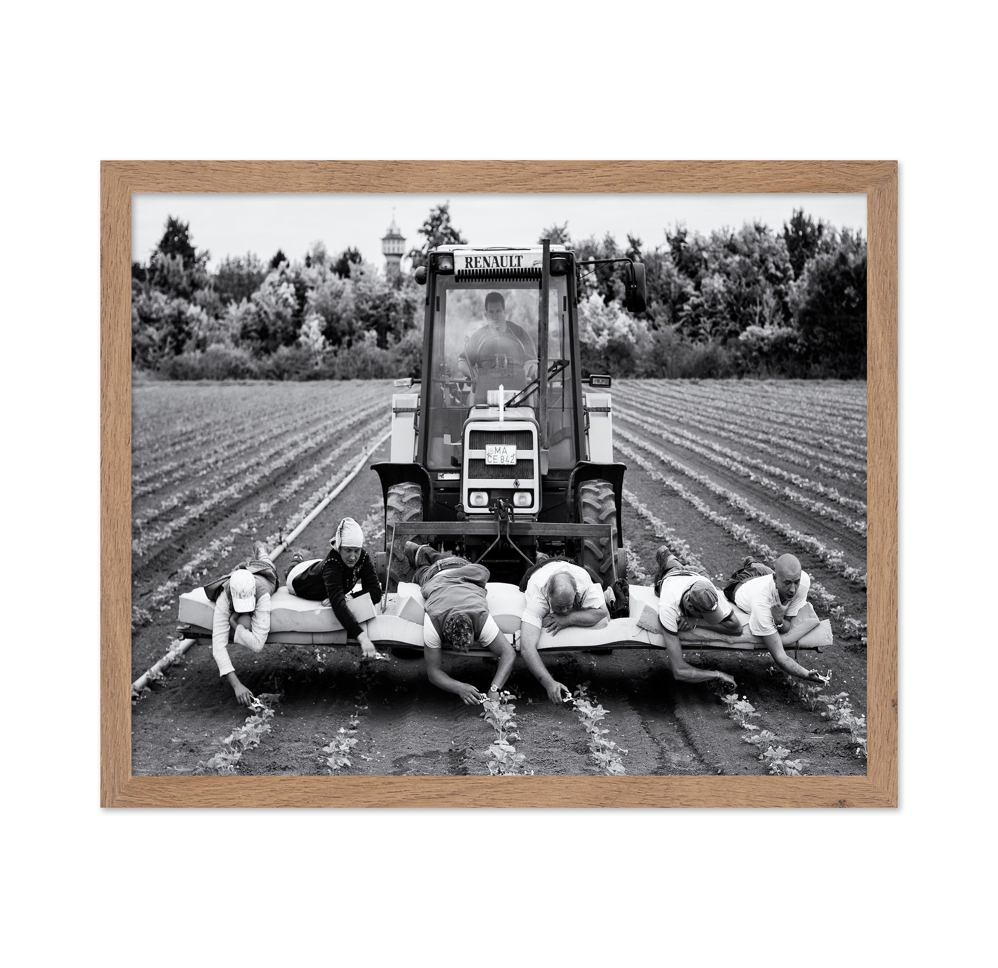 Fields of Labor