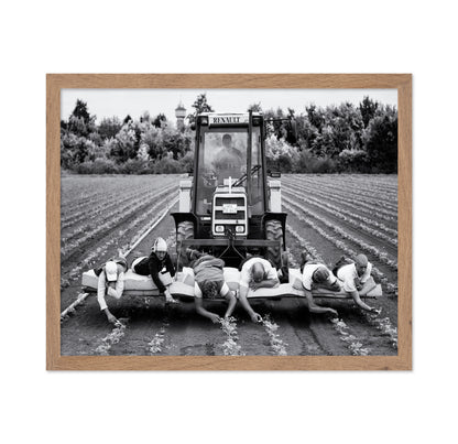 Fields of Labor