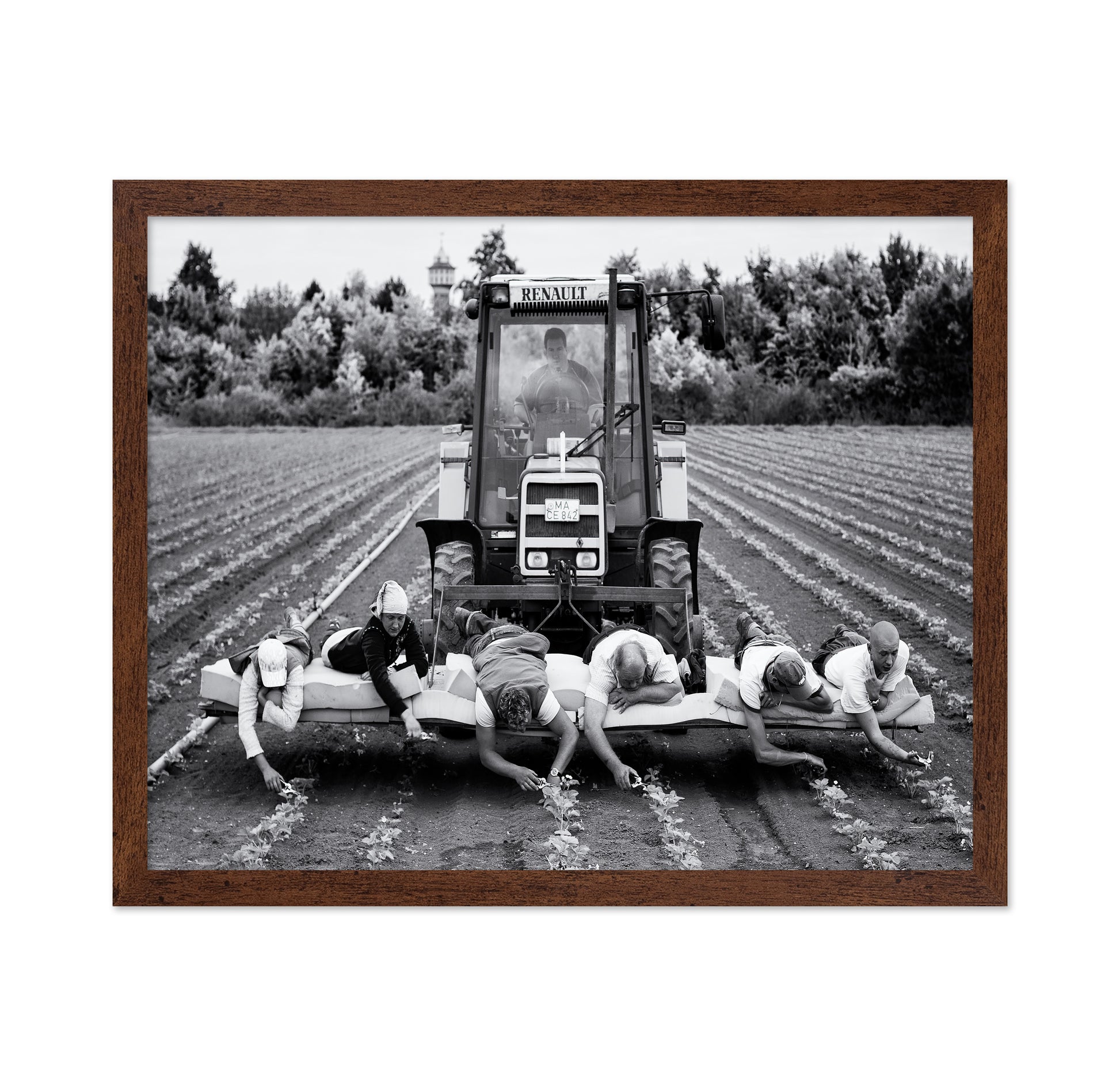 Fields of Labor