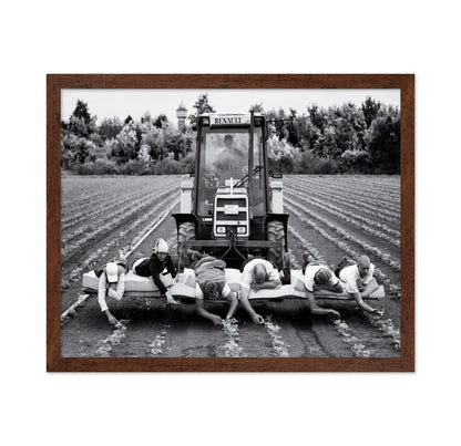 Fields of Labor
