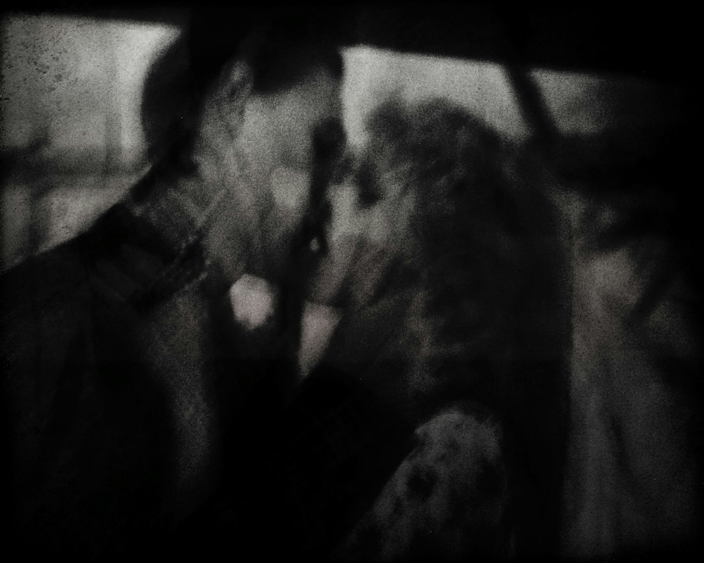 Shadows No 3