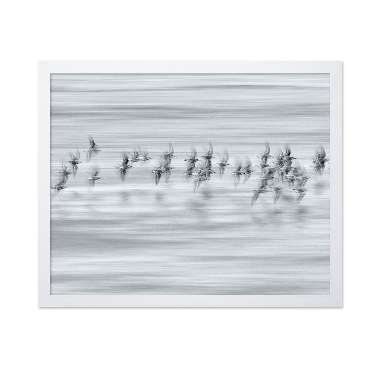 Silvery Flight
