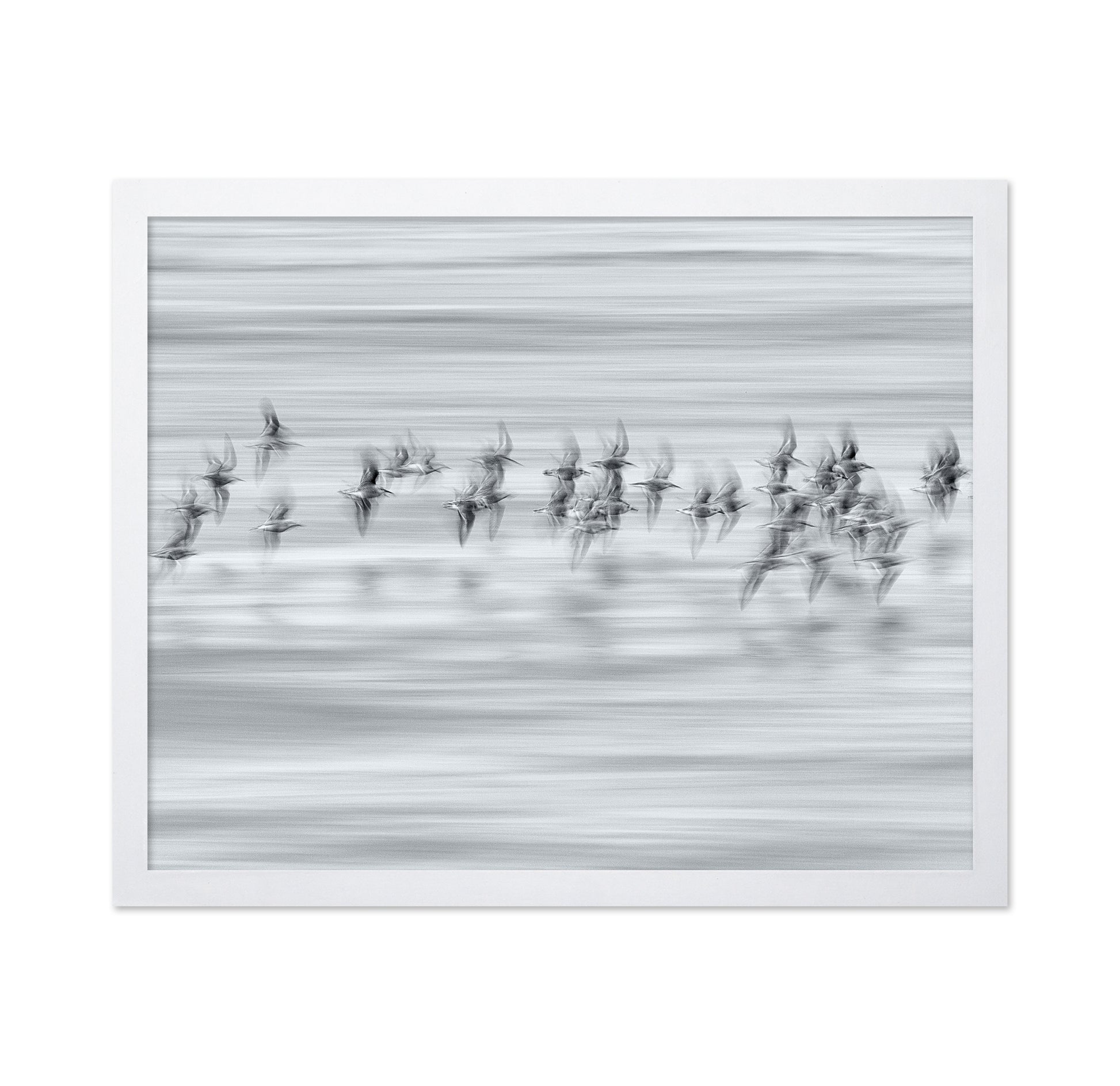 Silvery Flight