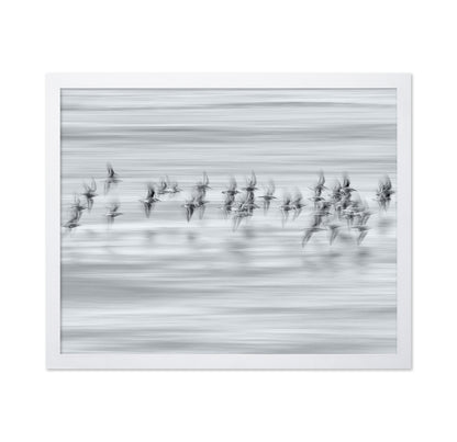 Silvery Flight