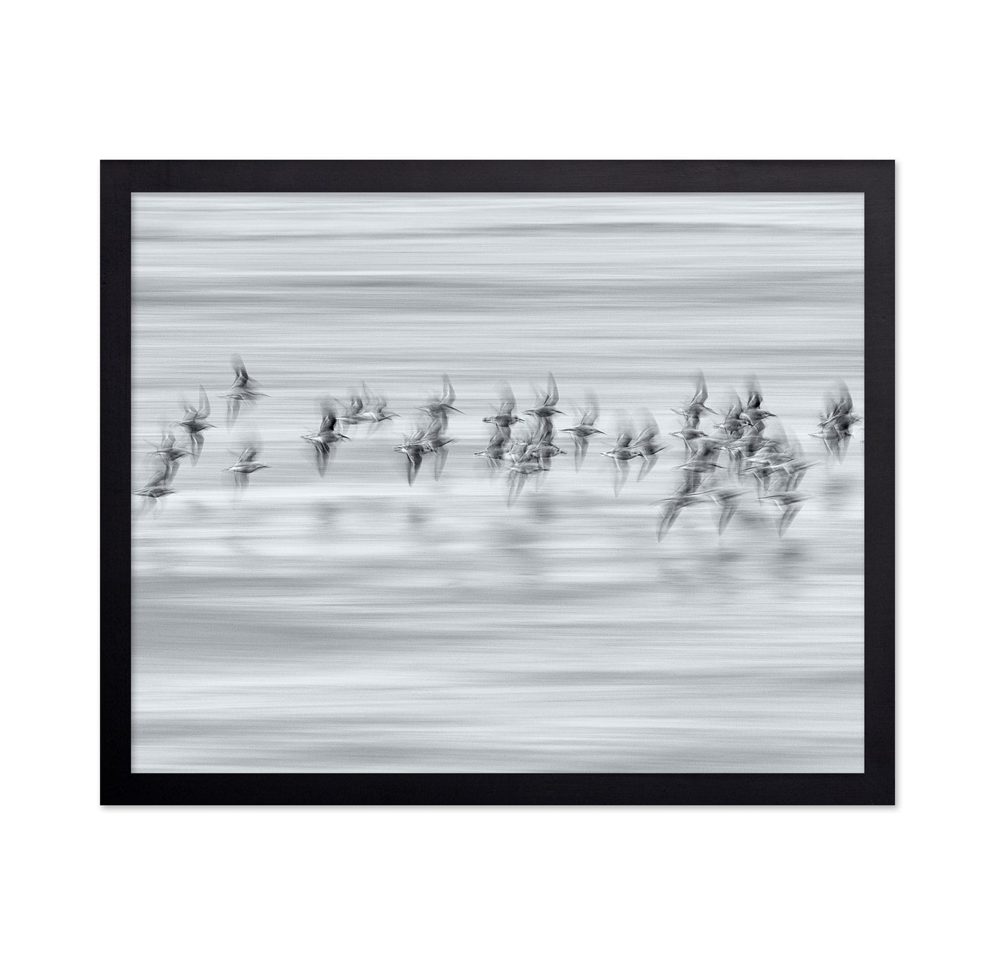 Silvery Flight