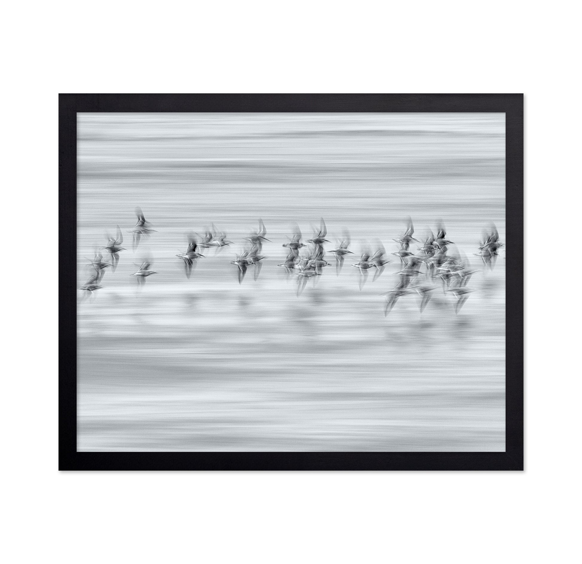 Silvery Flight