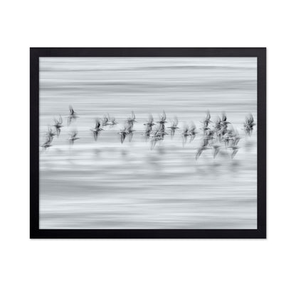 Silvery Flight
