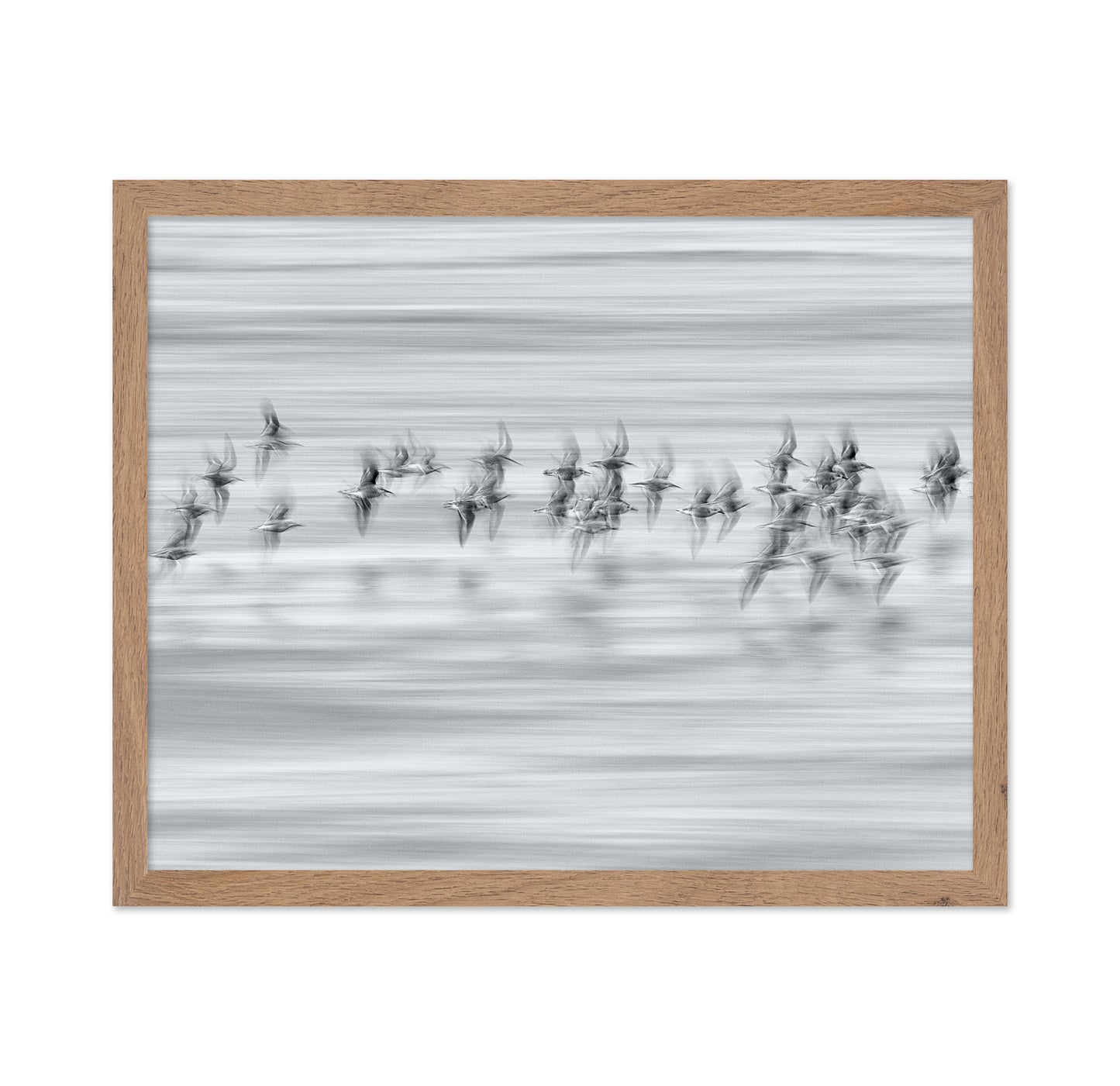 Silvery Flight