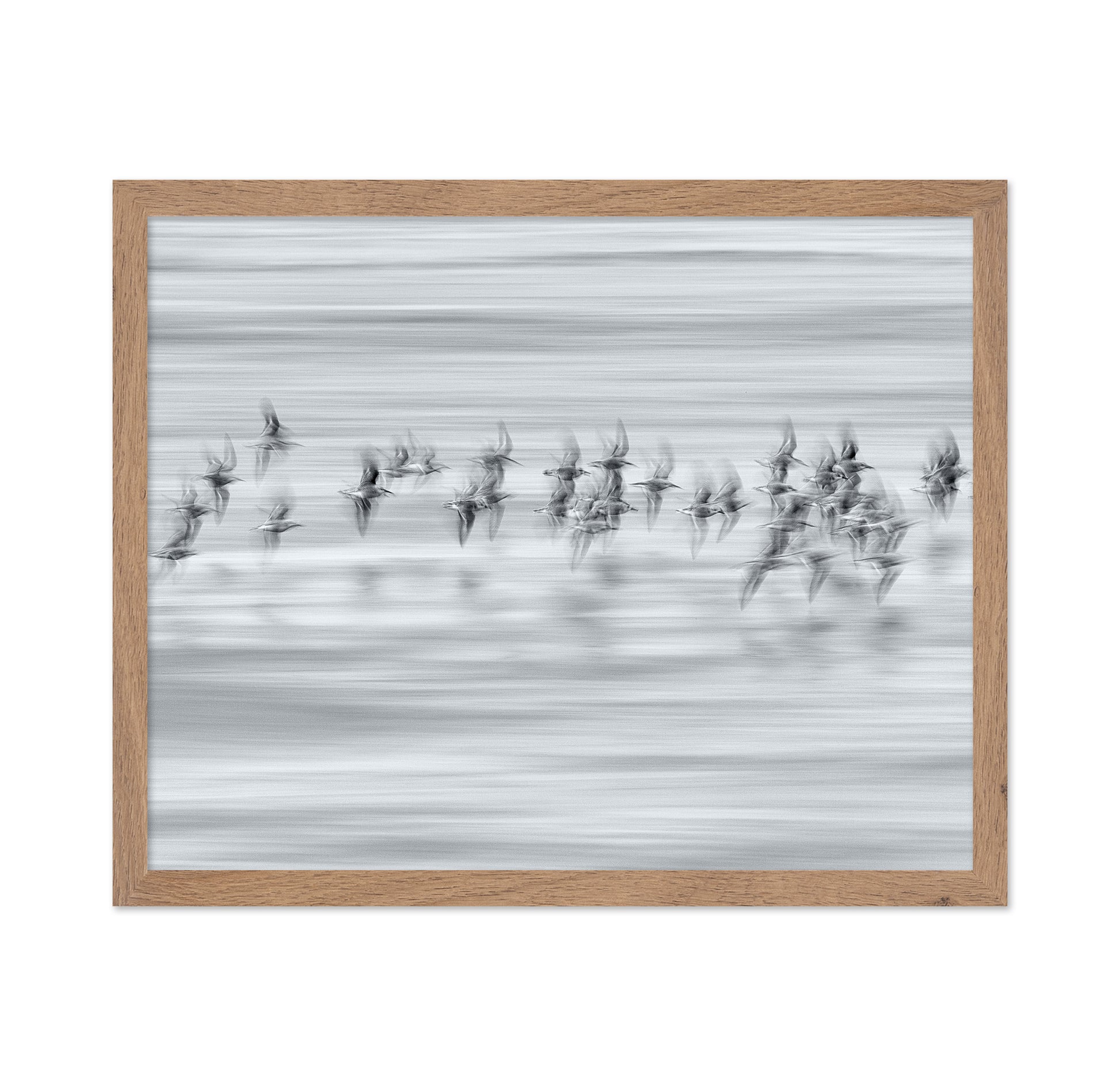 Silvery Flight