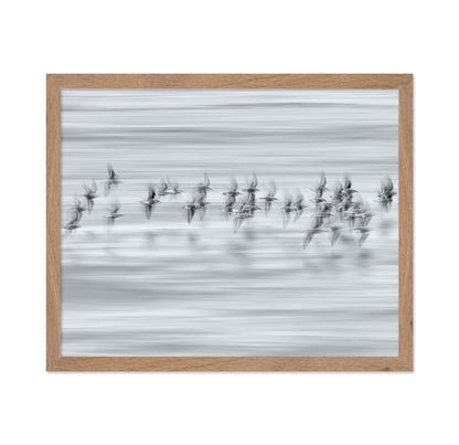 Silvery Flight