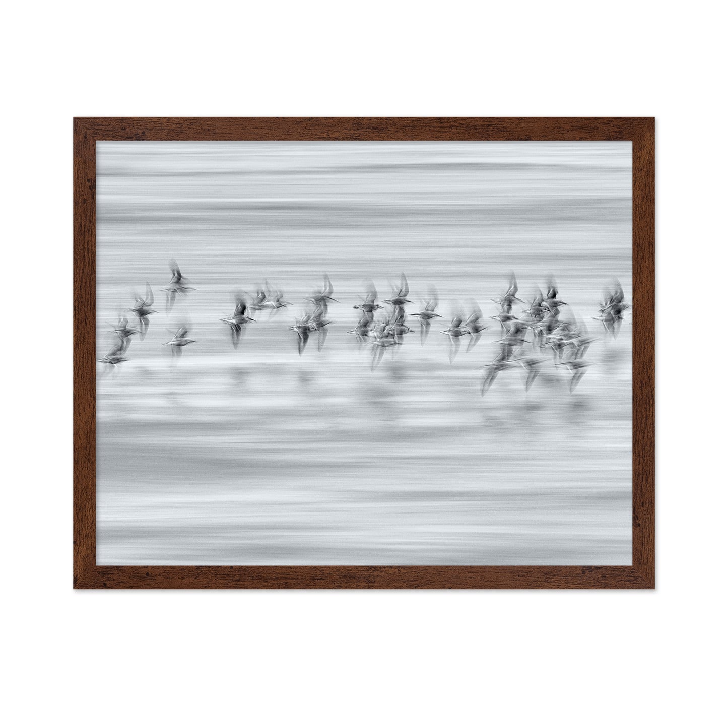 Silvery Flight