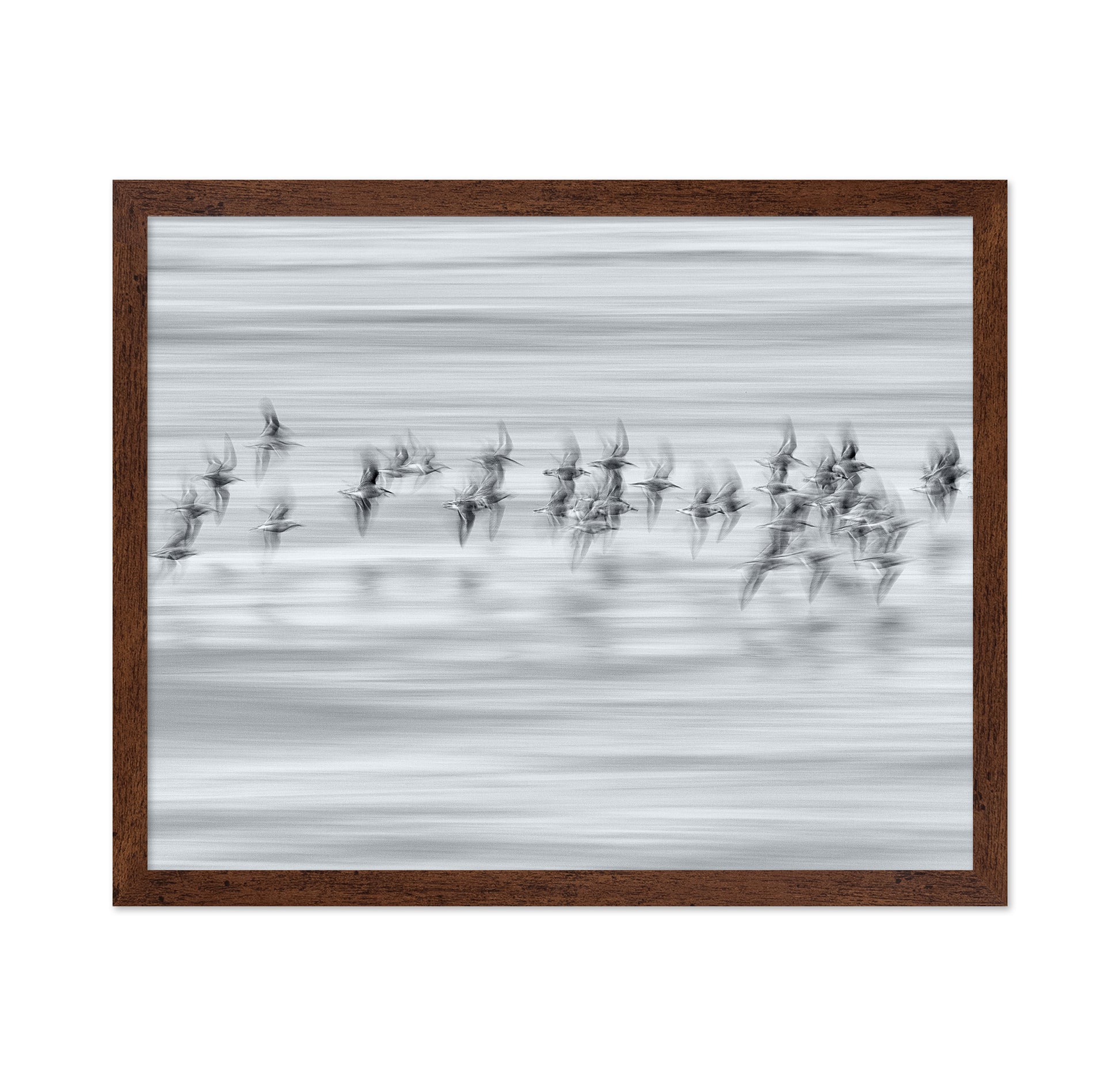 Silvery Flight