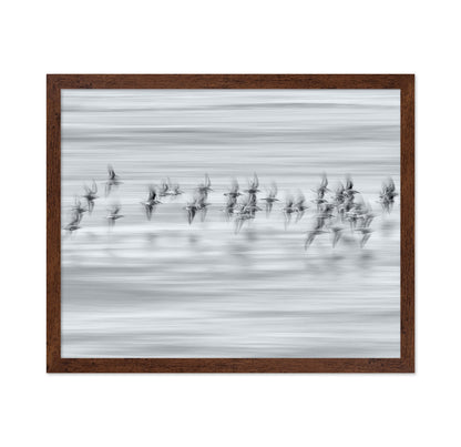 Silvery Flight