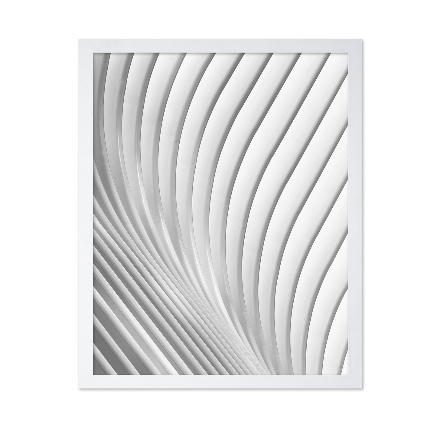 Calatrava Lines