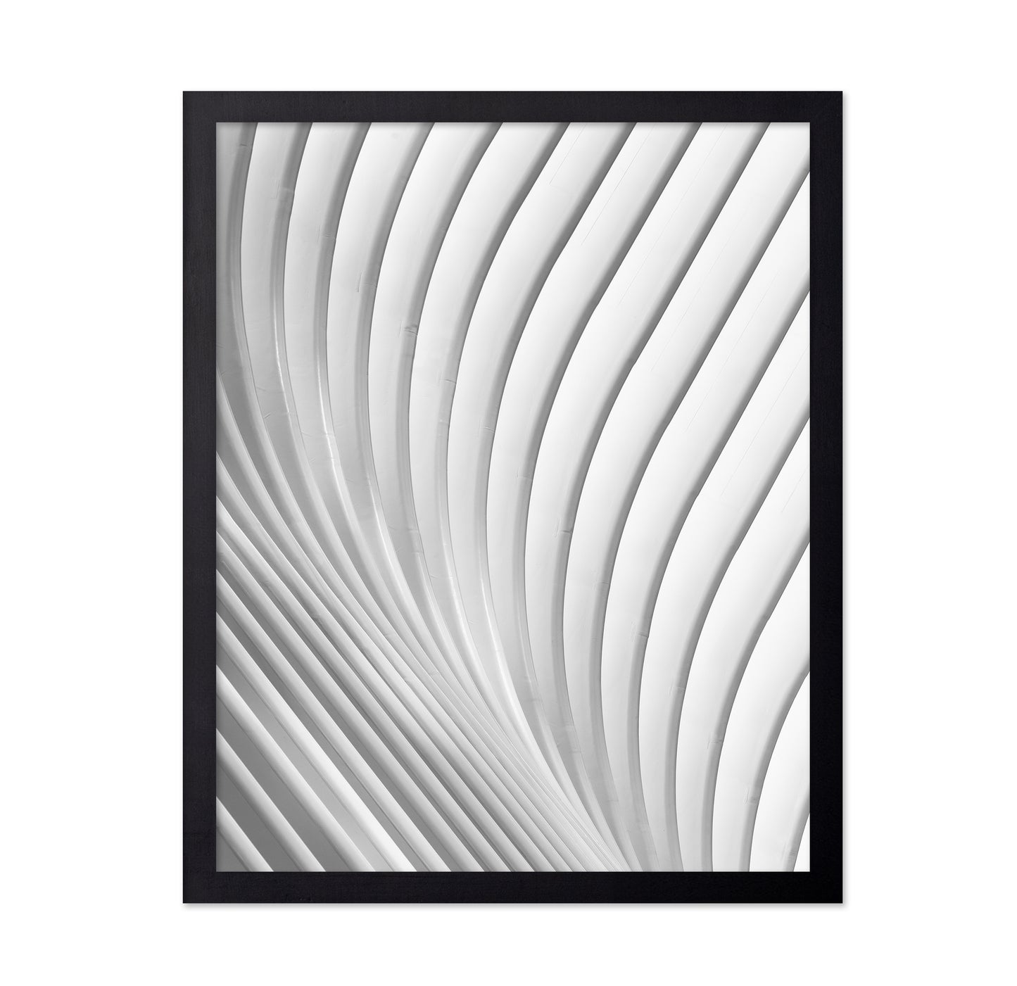 Calatrava Lines