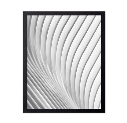 Calatrava Lines