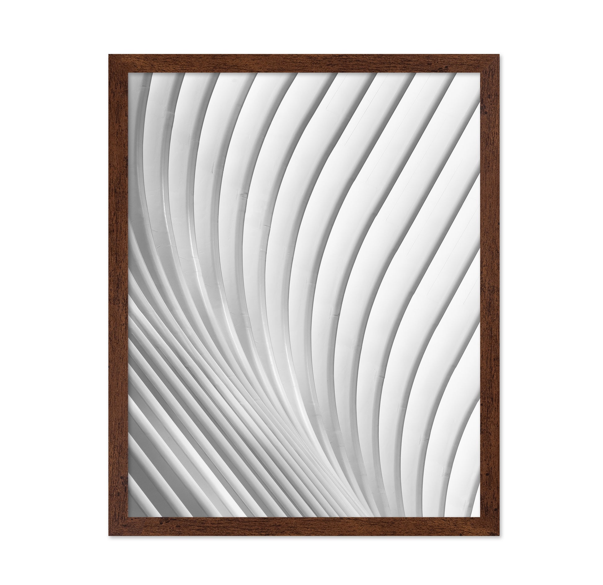 Calatrava Lines