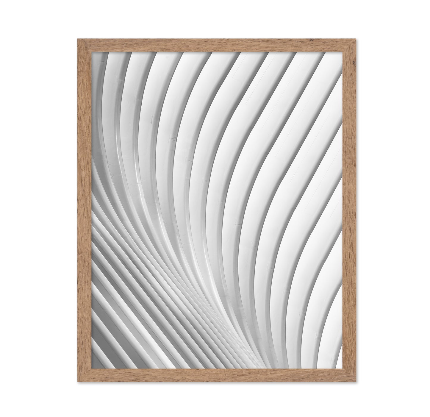 Calatrava Lines
