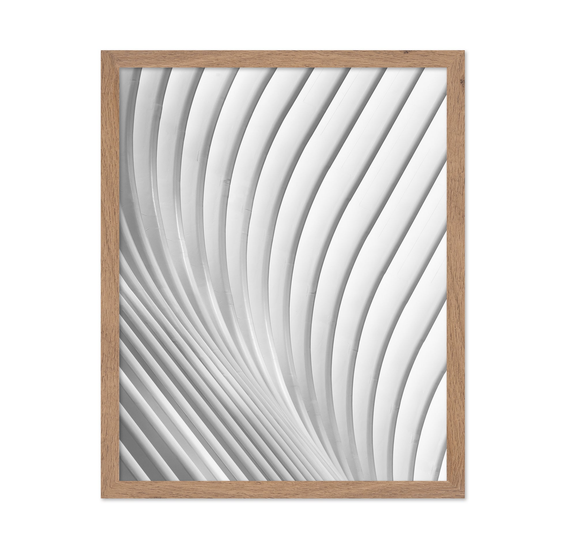 Calatrava Lines