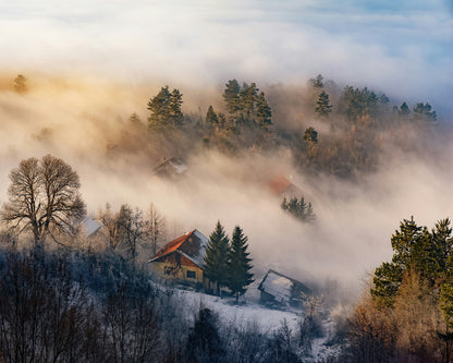Misty Winter Days