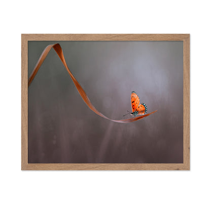 Lonely Orange