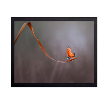 Lonely Orange