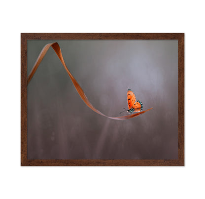 Lonely Orange