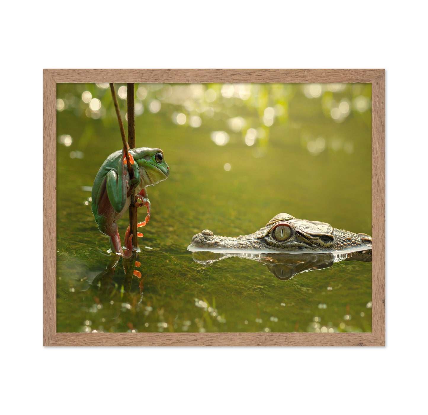 Frog and Crocodile