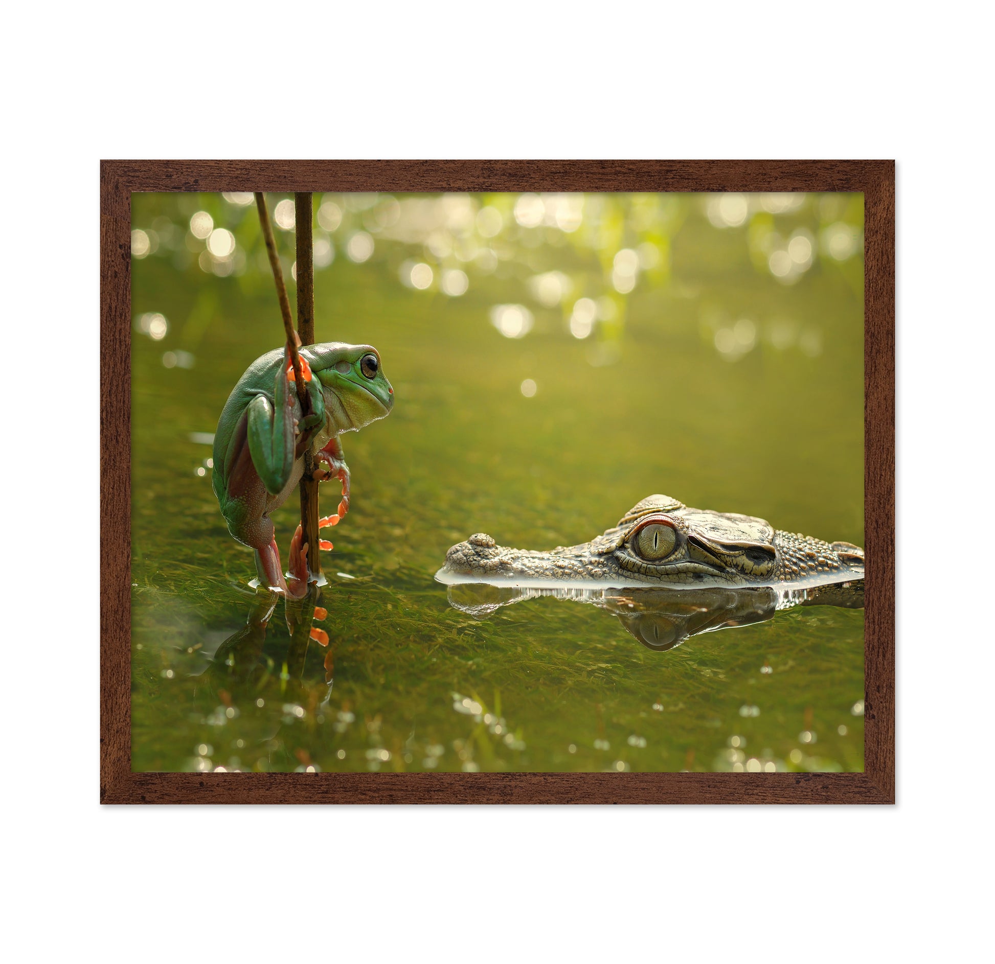 Frog and Crocodile