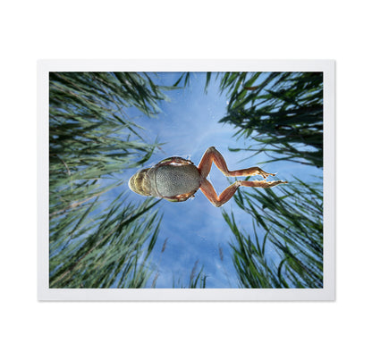 Jump In The Reeds