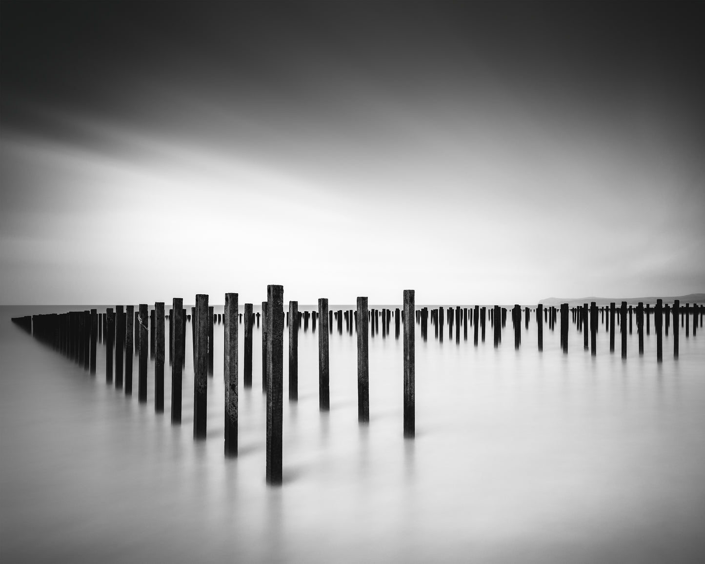 Formation - Study