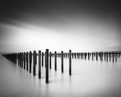 Formation - Study