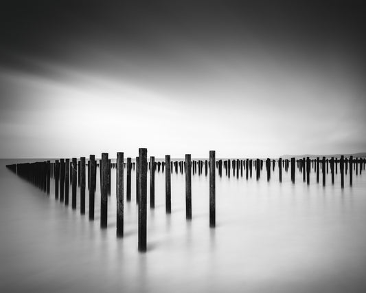 Formation - Study