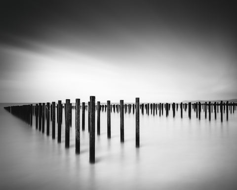 Formation - Study