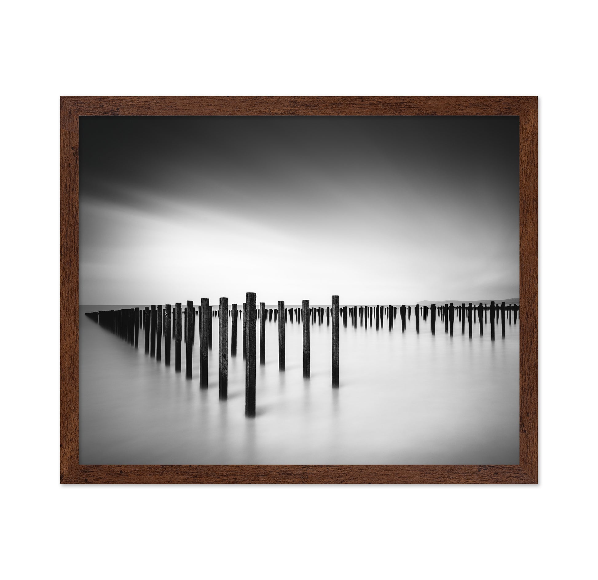 Formation - Study