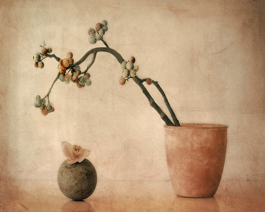 Still Life with Berries